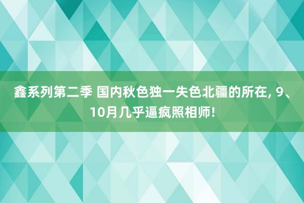 鑫系列第二季 国内秋色独一失色北疆的所在， 9、10月几乎逼疯照相师!