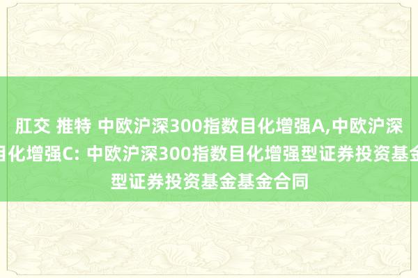 肛交 推特 中欧沪深300指数目化增强A,中欧沪深300指数目化增强C: 中欧沪深300指数目化增强型证券投资基金基金合同