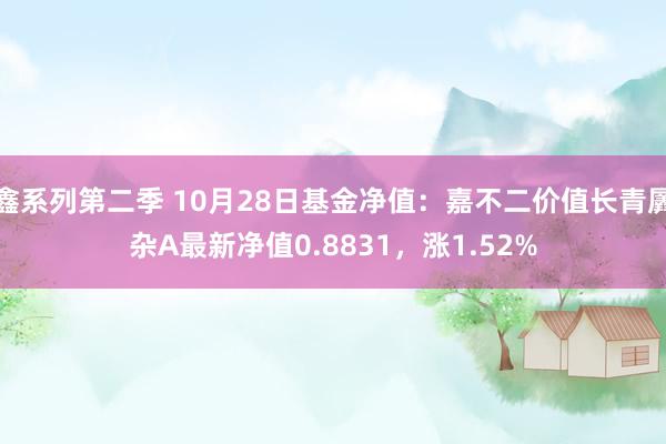 鑫系列第二季 10月28日基金净值：嘉不二价值长青羼杂A最新净值0.8831，涨1.52%