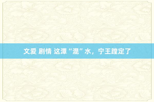 文爱 剧情 这潭“混”水，宁王蹚定了