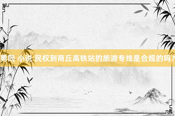 男同 小说 民权到商丘高铁站的旅游专线是合规的吗？