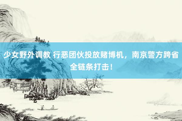 少女野外调教 行恶团伙投放赌博机，南京警方跨省全链条打击！