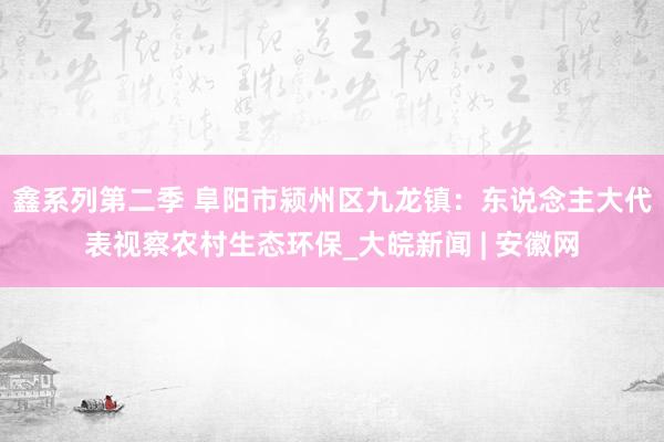 鑫系列第二季 阜阳市颍州区九龙镇：东说念主大代表视察农村生态环保_大皖新闻 | 安徽网