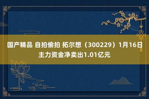 国产精品 自拍偷拍 拓尔想（300229）1月16日主力资金净卖出1.01亿元