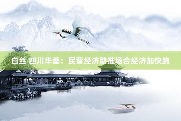 白丝 四川华蓥：民营经济助推场合经济加快跑