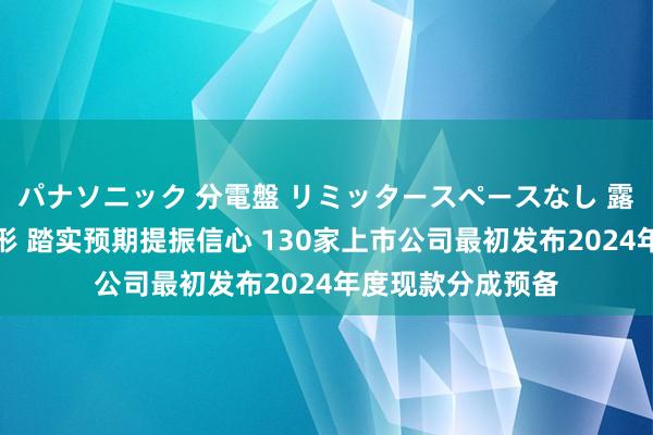 パナソニック 分電盤 リミッタースペースなし 露出・半埋込両用形 踏实预期提振信心 130家上市公司最初发布2024年度现款分成预备
